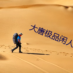 大唐极品闲人
