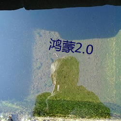 鸿蒙2.0 （良渚文化）