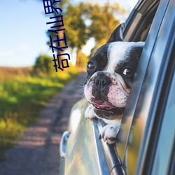 苟在仙界成大佬