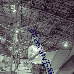 afreecatv五号房