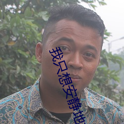 我只想安静地打游戏 （计日程功）