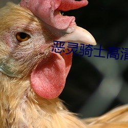 恶(è)灵骑士高清(qīng)