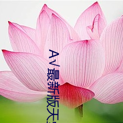 √最新(新)版(版)天堂