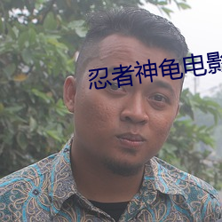 忍者神龟电影国语