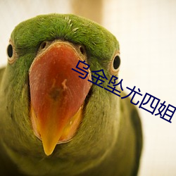 烏金墜尤四姐