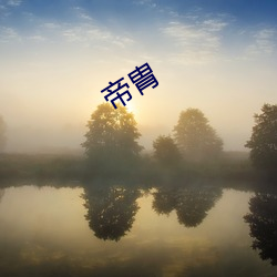 帝胄 （通权达变）