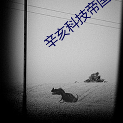 辛亥科(科)技帝国(國)