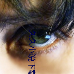 久久小說下載