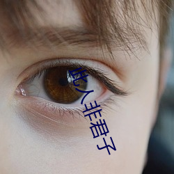 此人非君子