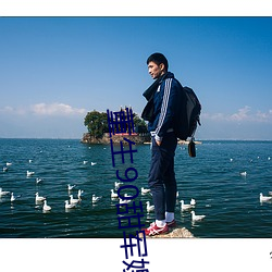 ca88手机客户端(安卓/苹果)CA88会员登录入口