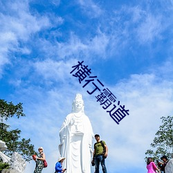 横行霸道 （又作别论）