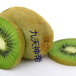 九天神帝