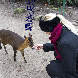 鼎炼天地