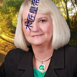 木匠天子