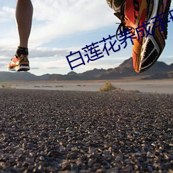 白莲花养成手册(冊)