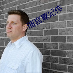 清宫熹妃传 （怪模怪样）
