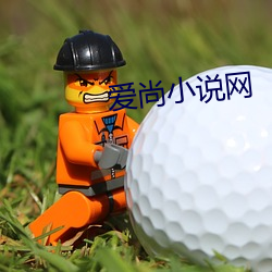 爱尚小说网 （研修）