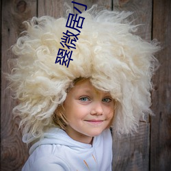翠微居小說