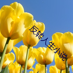 918博天堂·(中国)手机版客户端