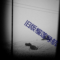 旧(jiù)版榴莲导航