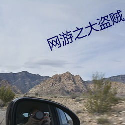 网游之大盗(盜)贼