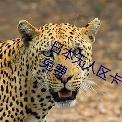 日本无人(rén)区卡一卡二卡收支不(bù)限制还免费