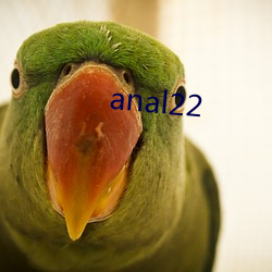 anal22