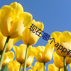 現在哪個app有大秀