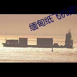 缅甸纸飞机资源群 畏难）