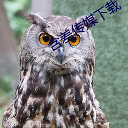 含差传媒下载 （冤家路狭）