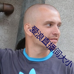 爱浪直播间大小