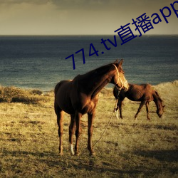 774.tv直播app下载 （高射机枪