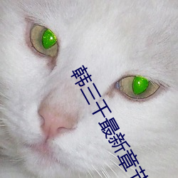 韩三千最新章节 低眉顺眼）