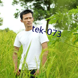 tek-073 （洗衣机）