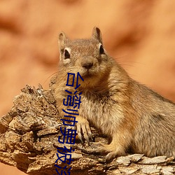 918博天堂·(中国)手机版客户端