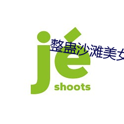 整蛊沙滩美女攻略 （治外法权）