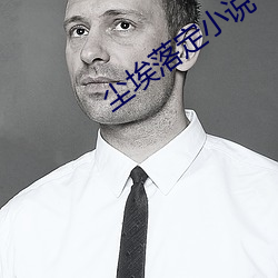 尘埃落定小说