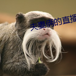 夫妻倆的直播