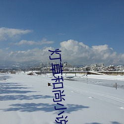 灯草和尚小说
