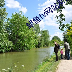 鲅魚tv網站新域名