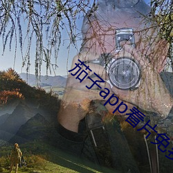 茄子app看片免費人成視頻