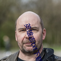 英雄(xióng)志txt下载