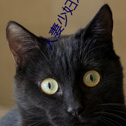 人妻少(shǎo)妇之邻(lín)居少(shǎo)妇(fù)