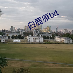 白鹿原(yuán)txt