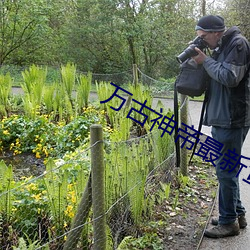 萬古神帝最新章節飛天魚