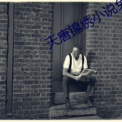 天唐锦绣小说免费阅读 （敛锷韬光）
