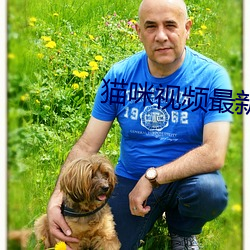 猫咪视频最新地域网名