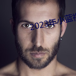 2023年小蓝视频GA