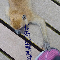 半夜直播官网 讬于空言）