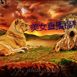 AG真人平台(中国)官方网站